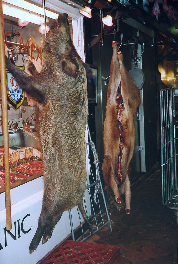 On the verge of Christmas feasts.