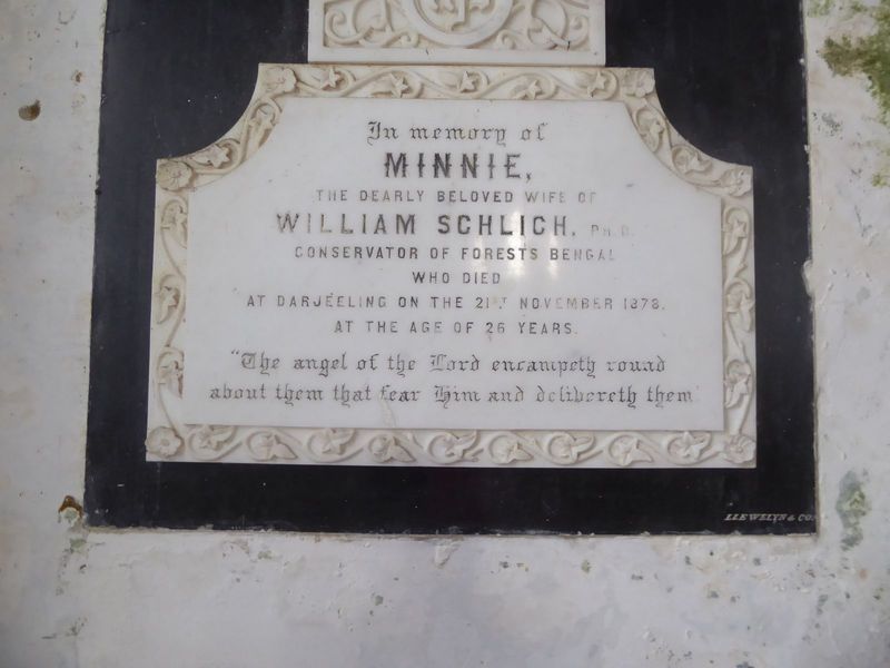 Husband William grew up as Wilhelm and earned a doctoral degree in Germany in 1867. He then joined the Indian forest service and rose to bec