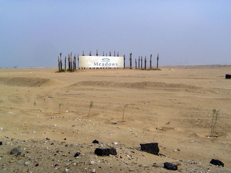 A brave developer closer to Giza. Have to feel sorry for those poor palms.