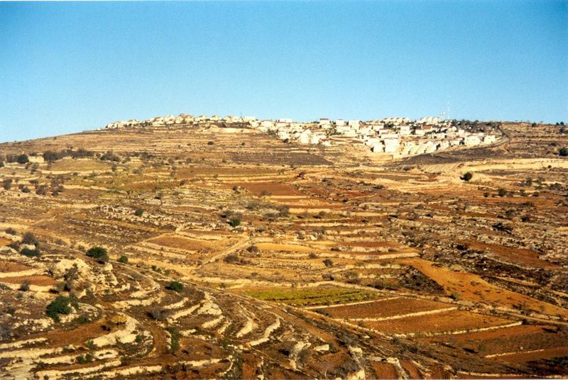 El'azar, part of Gush Etzion, rises above terraces belonging to villagers from El Khadr. The valley is the Wadi el-Biyar, "the valley of wel