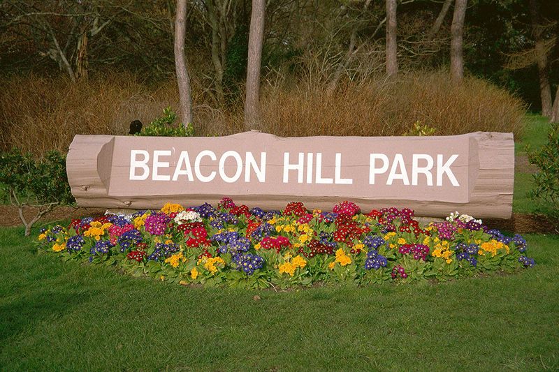What to do with such prospects? One answer is in Beacon Hill Park. So much for Americans who can't see any significant difference between th