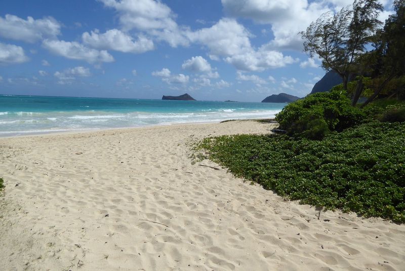 Free for anyone who happens by. In the distance is Manana or Rabbit Island, a tuff cone.