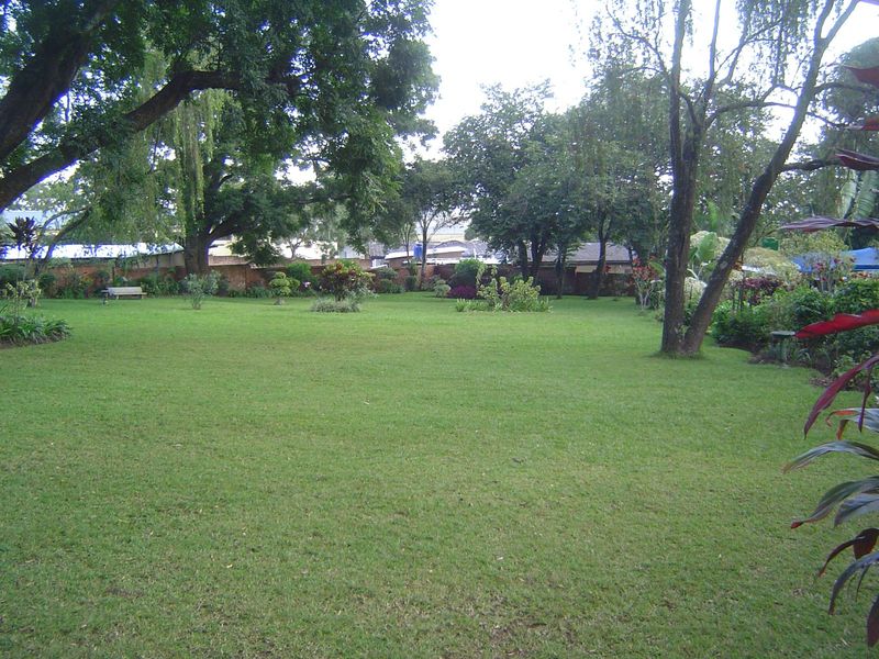 Except a rare patch of lawn.