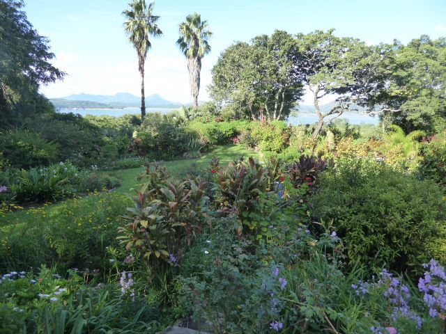 Up above the reservoir, there's a handsome garden attached to the retirement home built by Murray McDougall, the sugarcane pioneer.
