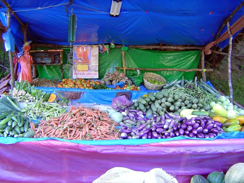 A roadside stand.