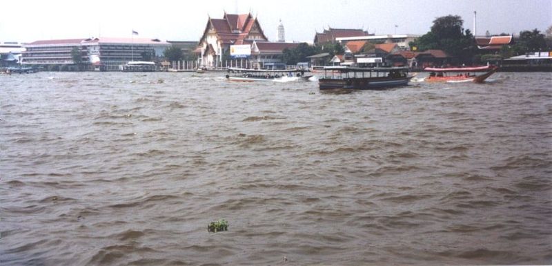 Meanwhile the Chao Phraya provides efficient taxi service for those whose business is close to the river.