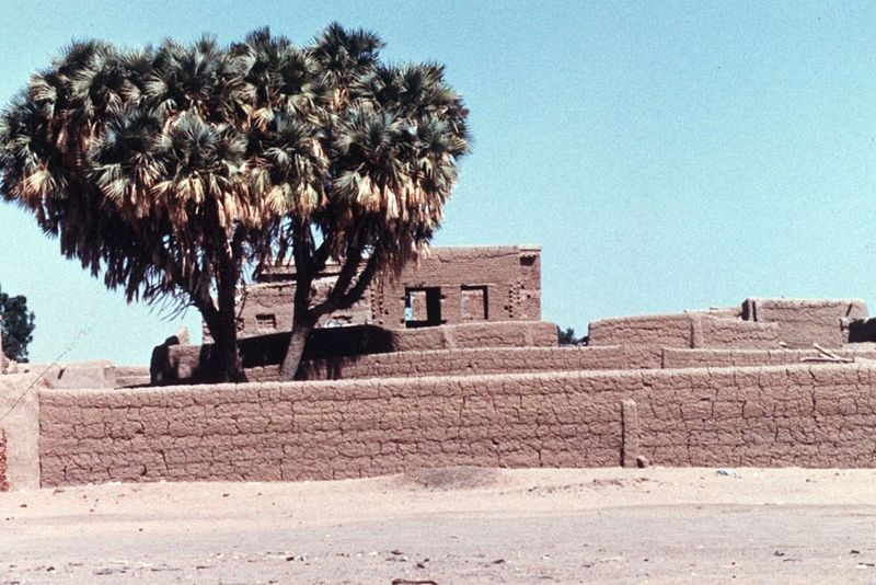 Farther from water, the country north of Khartoum is intensely arid. Everything is built of stone or, more likely, mud. The occasional tree 