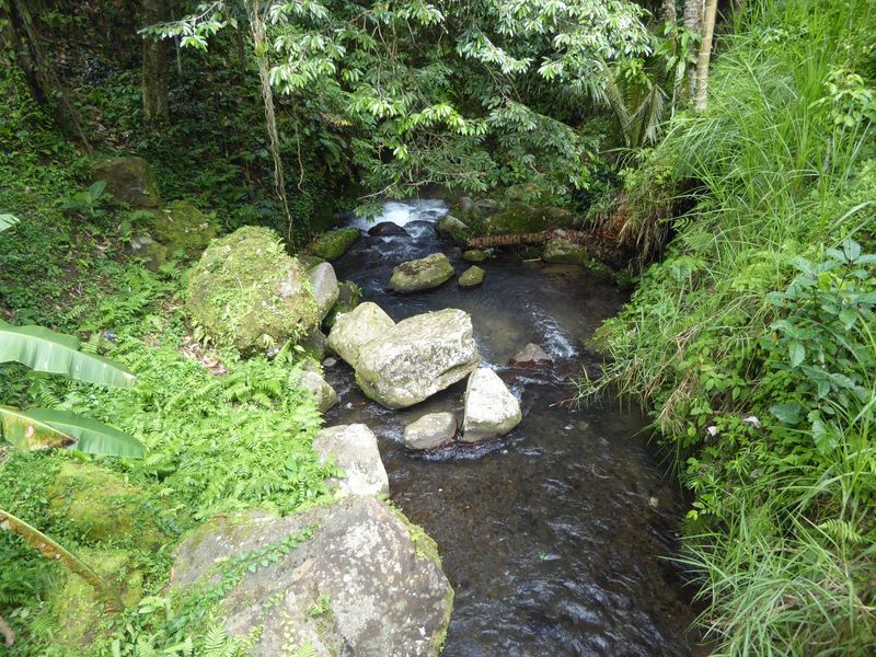 Let's go back to the Tirtha Empul's water, here flowing merrily away to be gradually diverted into irrigation ditches. The villagers who mai