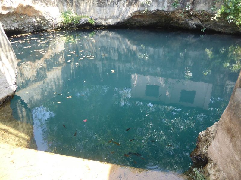It's the dry season, and crops must be irrigated. Here's a classic source, the Nilavarai well, fresh to a certain depth but salt below.