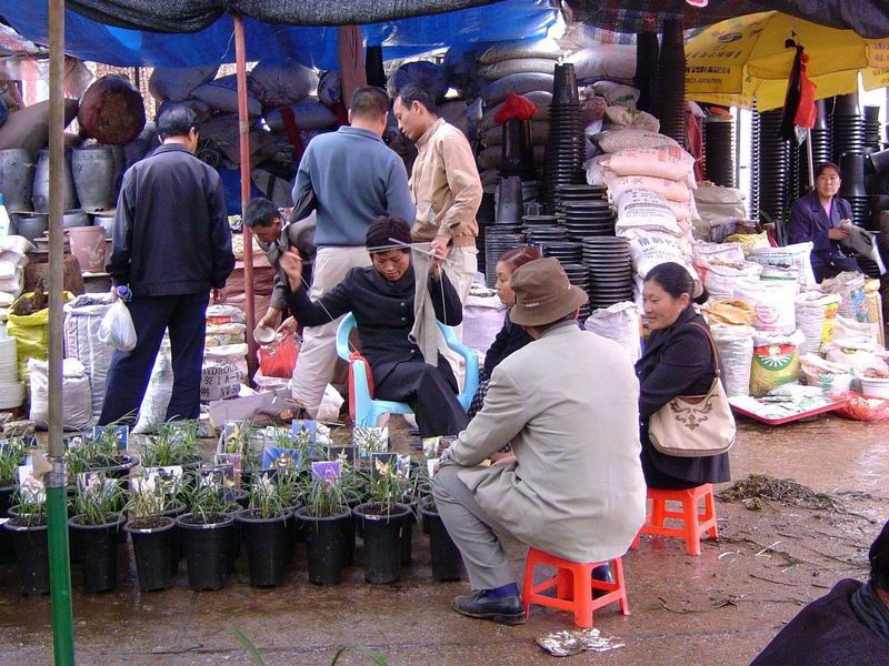 Market hours: this is the gardening section.