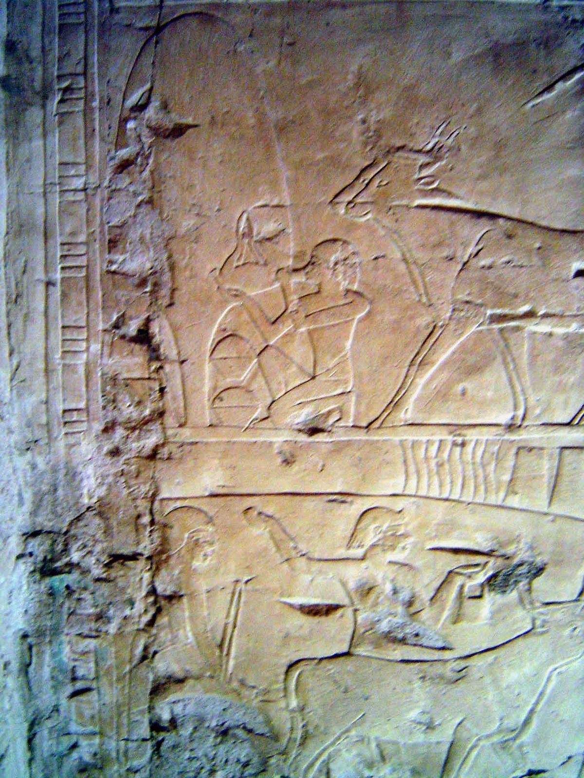 A worker drinks from a skin tied to a tree.