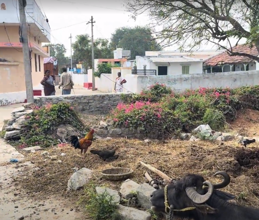 We're down at the south foot of the dome and at the village called Panigiri.