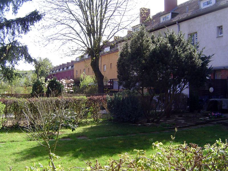 Backyards.