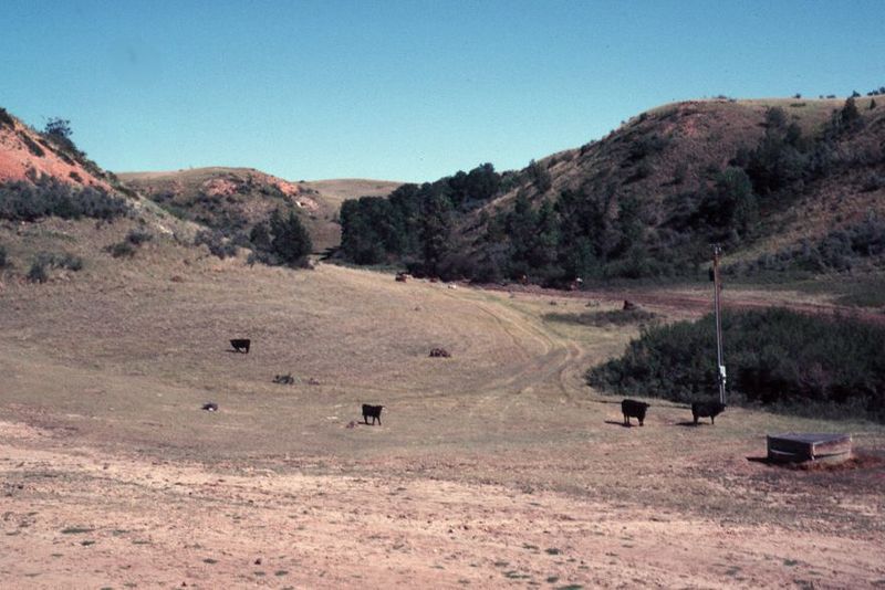 Water is as important here as fencing and grass seeding, because cattle congregate at water points, natural or artificial. A lot of money ha