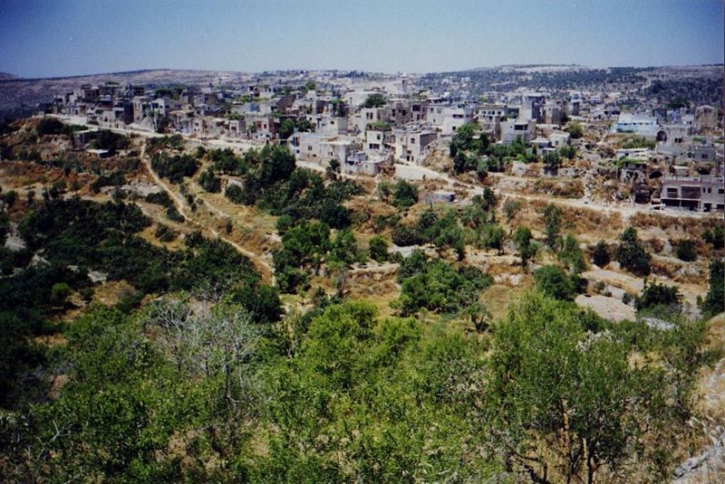 Salfit seen from the south. The core of the village lies on the ridge, though recent growth has carried it back to the slopes beyond. On the