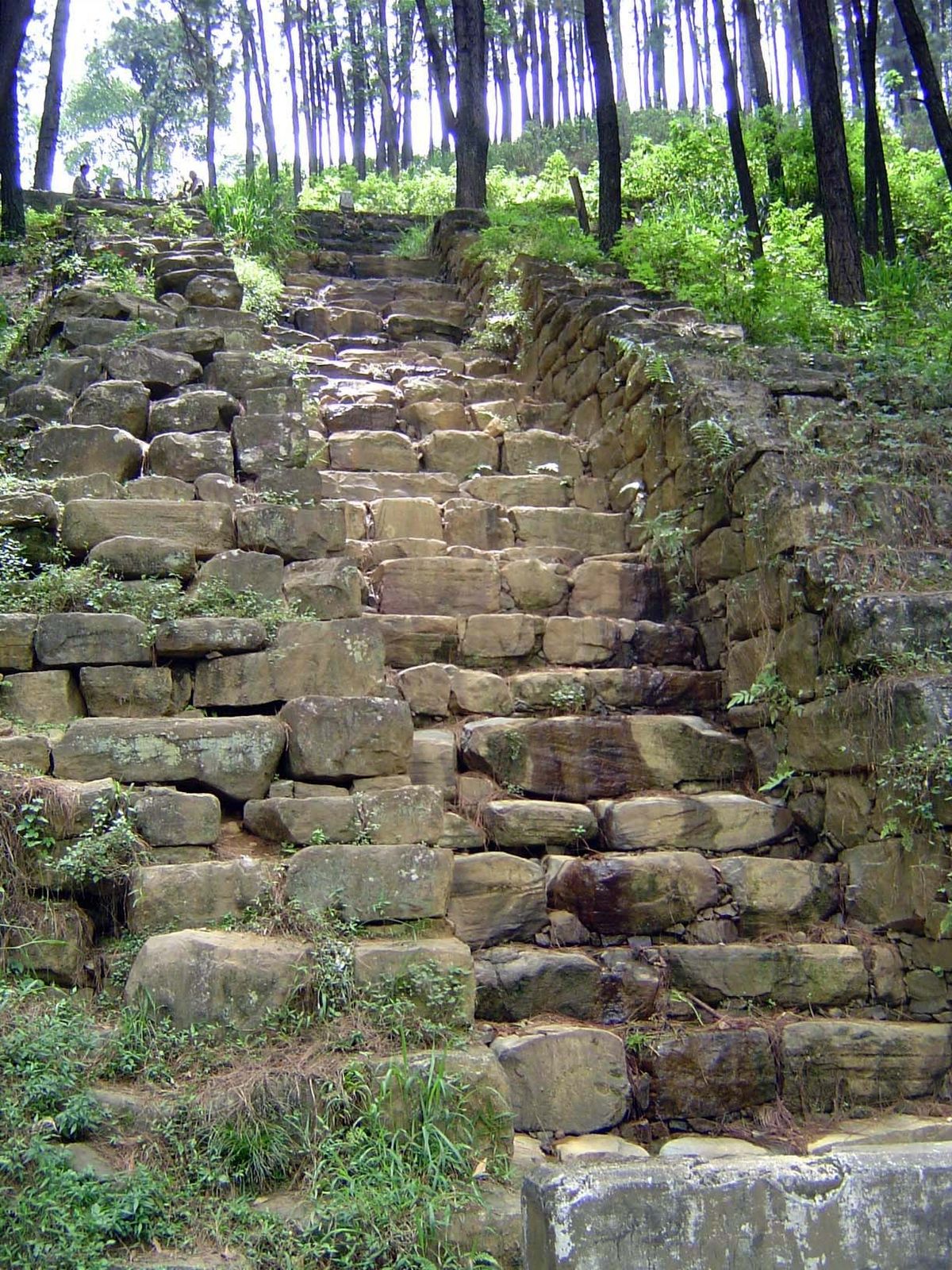 Elaborate stonework has been built to control runoff and check erosion.