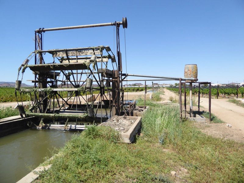 A local settler, Piet Burger, devised a water wheel copied many times along the local canals.