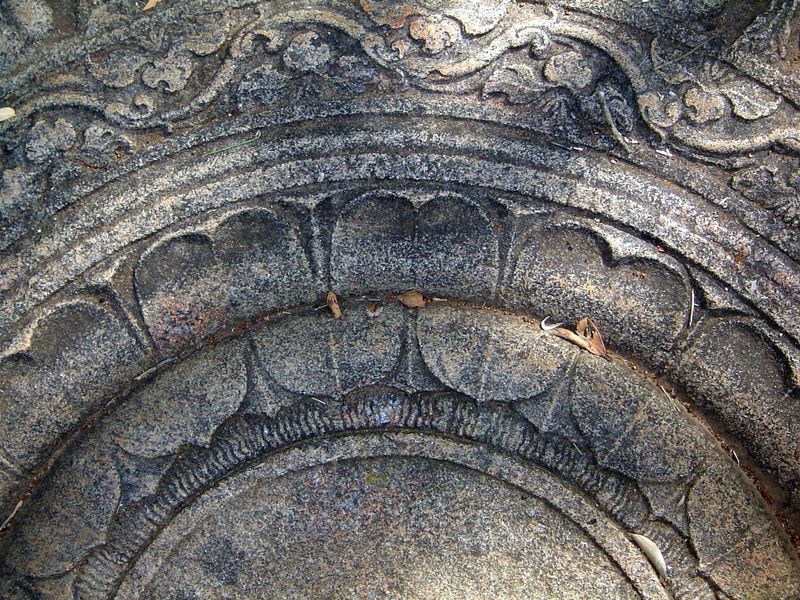 The inner rings.
