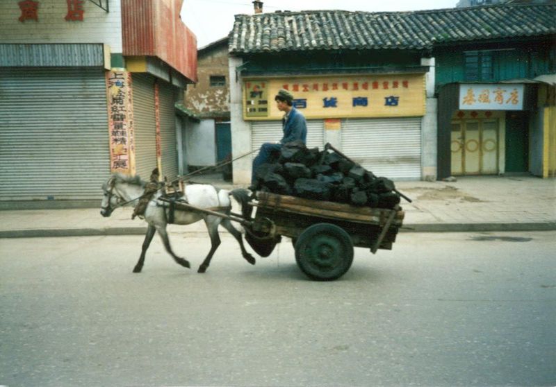 A quantum leap: from manpower to horsepower.