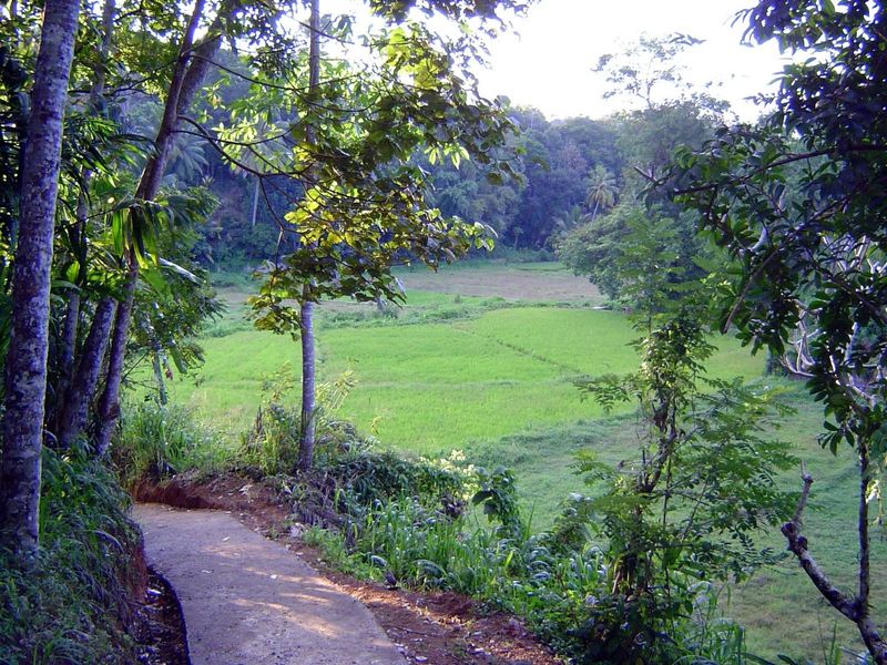 The path winds down to the deniya.