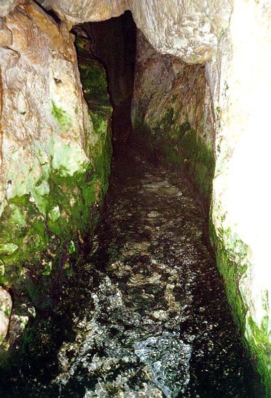 The normally black opening of the village spring, illuminated here by the camera flash. For a comparison with another spring, see the Battir