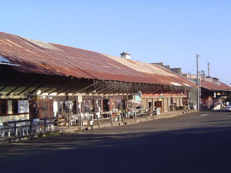 The foothill fruit was taken to track-side packing houses for shipment east in ice-cooled boxcars. These are the sheds in Newcastle, a few m