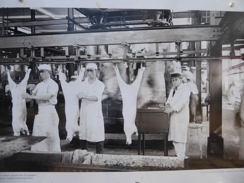 Sheep were processed, too.