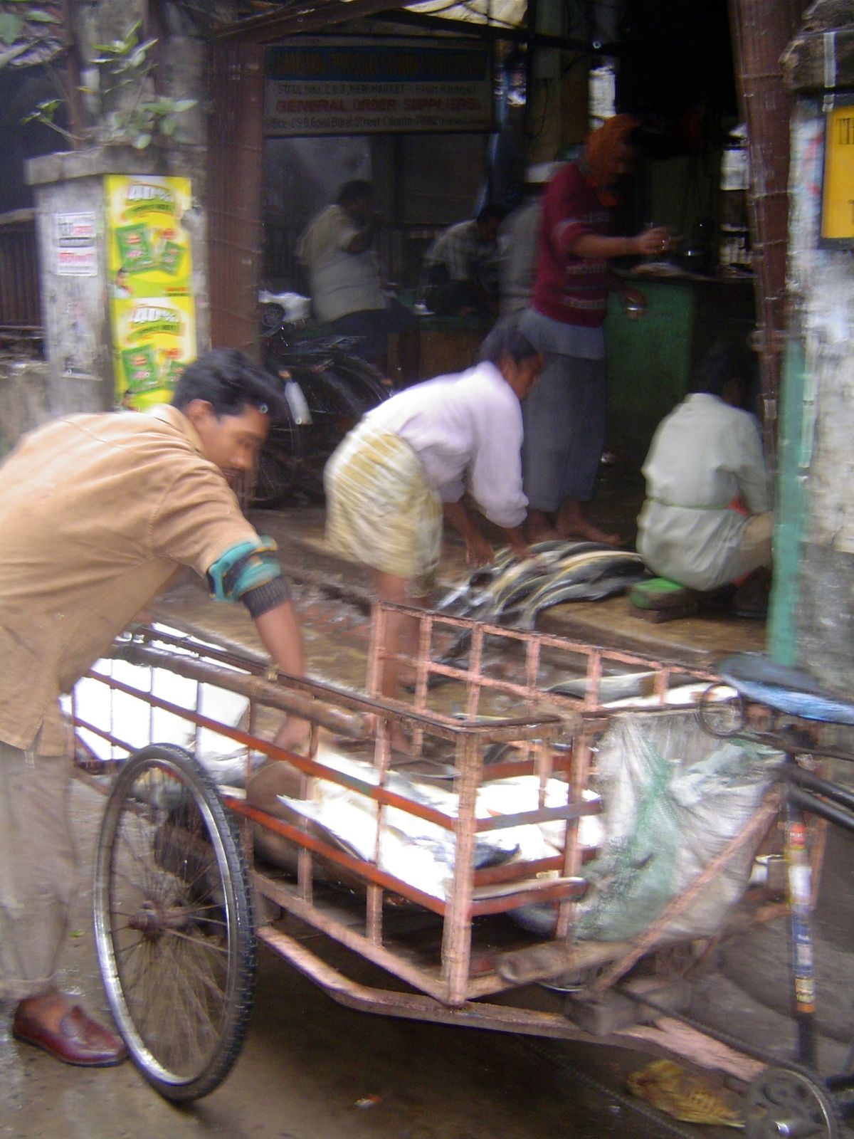 Fish delivery.