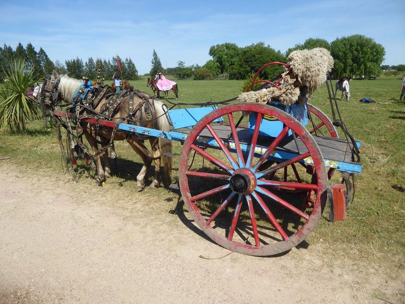 This was a Sunday event outside Progreso.