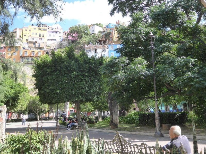 Guanajuato has only one funicular, however, so most slope residents get plenty of exercise. A few lucky ones also get the greenery of the Ja