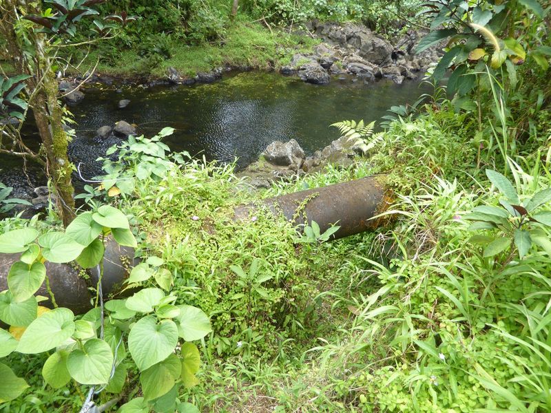 Here's the Lehnmesi just above the waterfall and below the weir where water was diverted toward the powerplant.