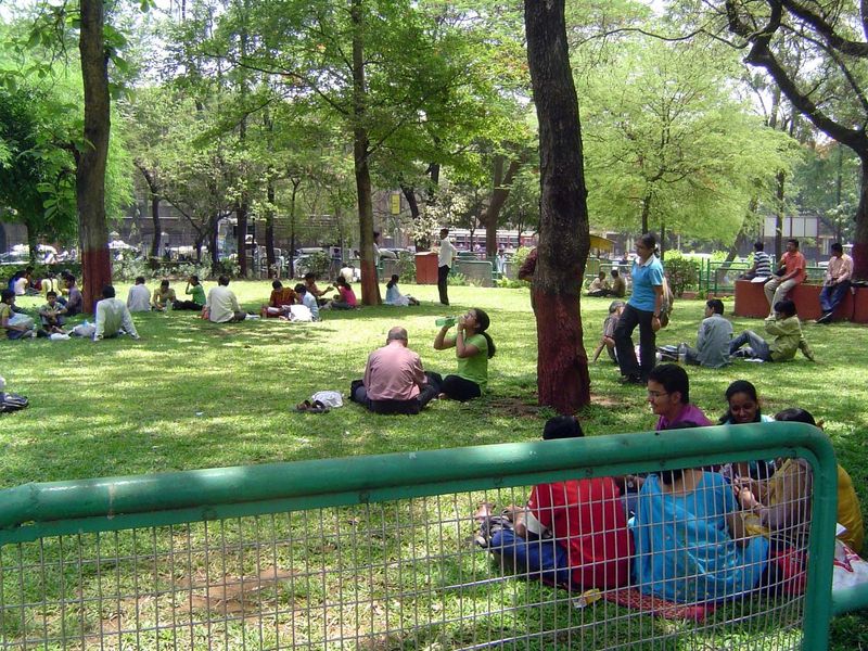 Campus relaxation.