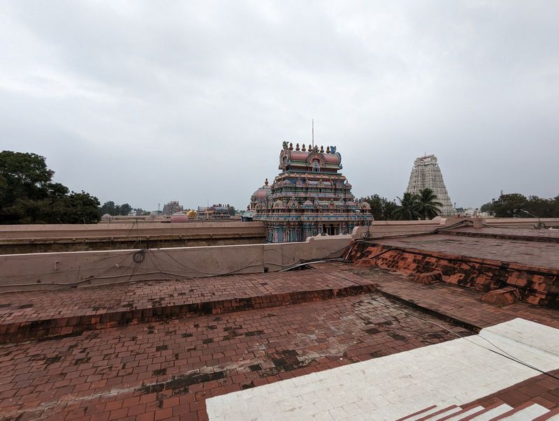 We're up on a nearby roof.  The main axis of the temple runs under the slightly higher roof just to our right, then through the gopuram and 