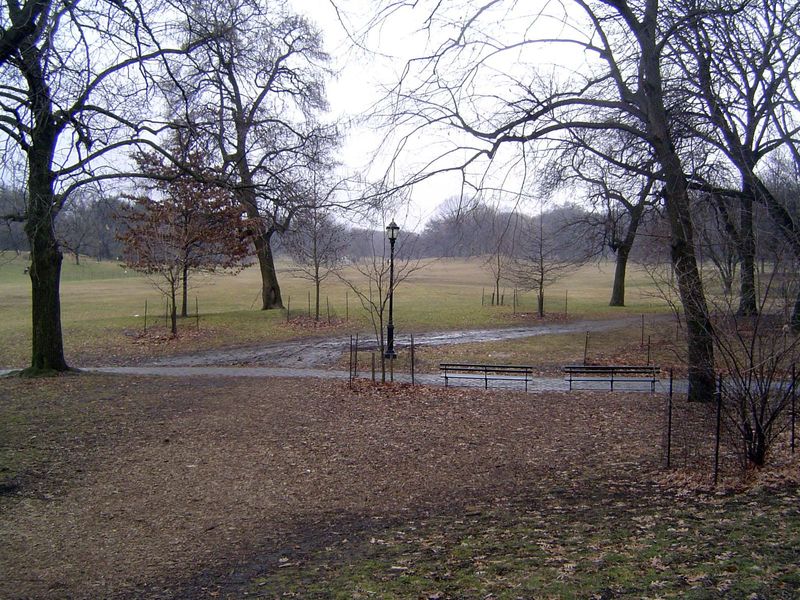 A glen in Ohio? Nope: it's the Great Lawn at Prospect Park, Brooklyn. Thank God for Frederick Law Olmsted.