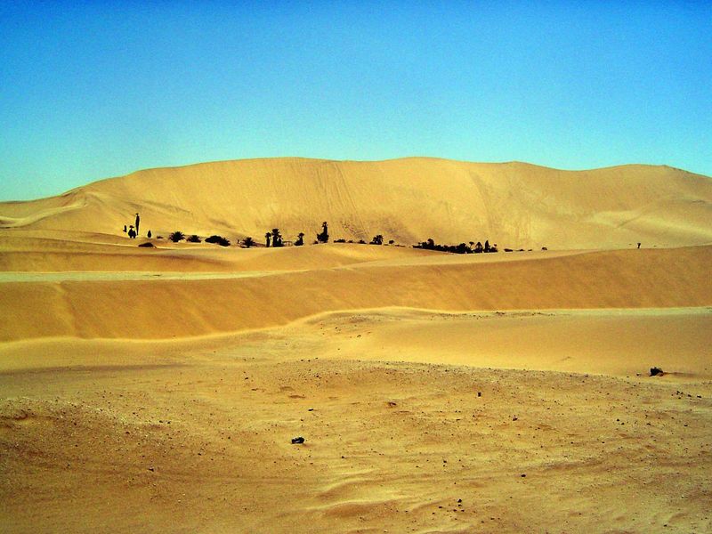 Dune 7. That's the actual name, straight out of sci-fi.