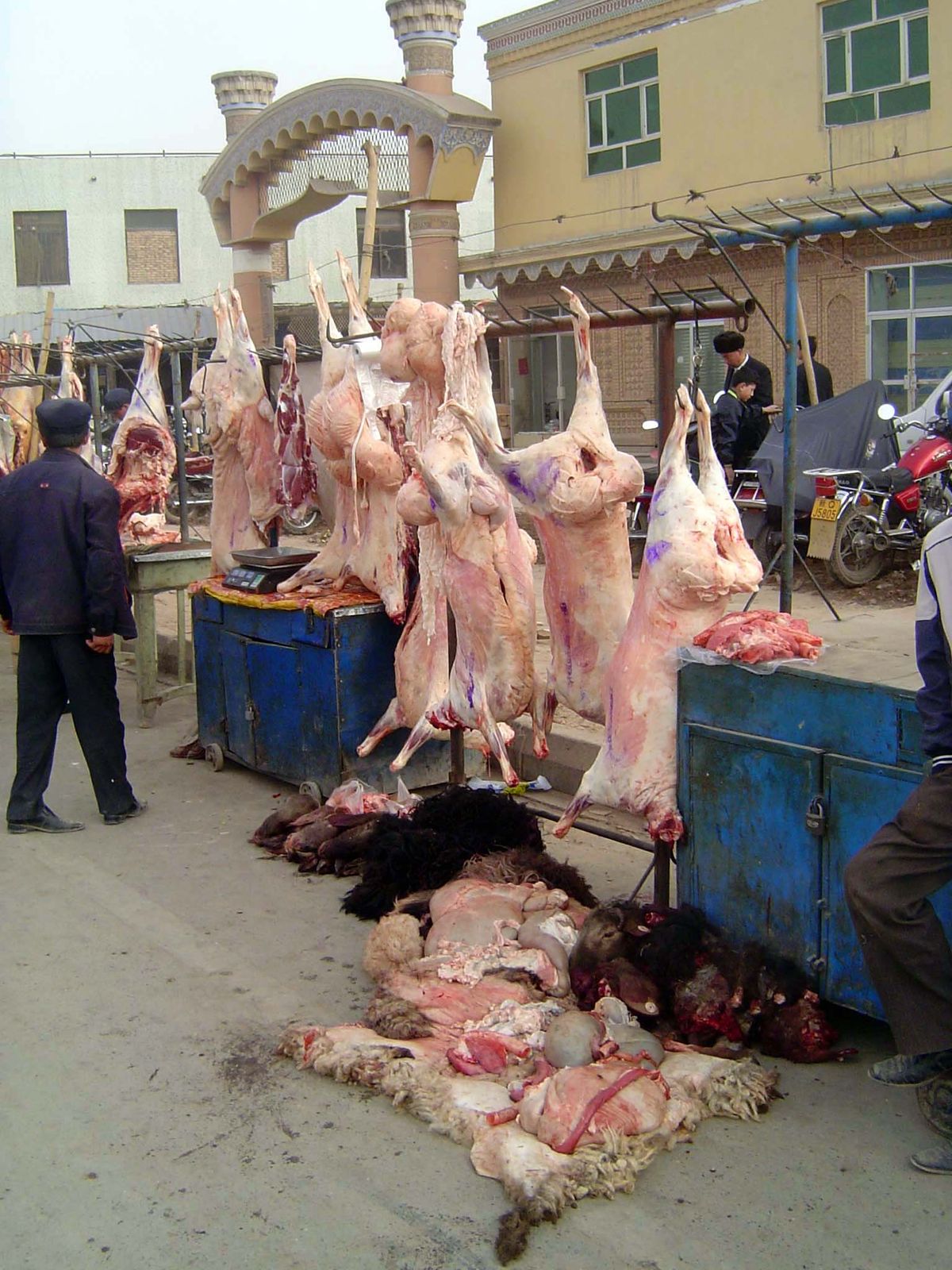 Sheep parts.