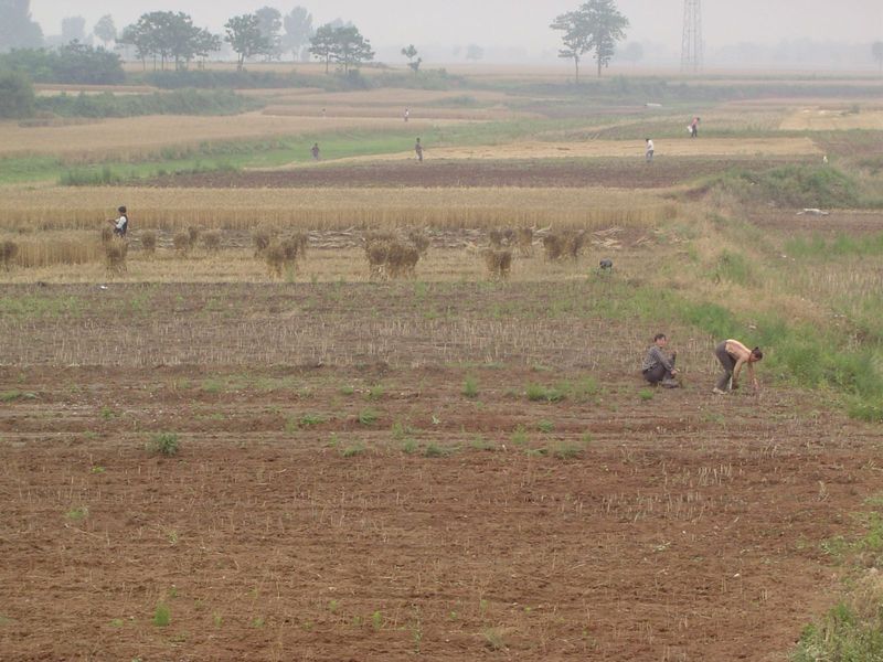 There's no shortage of farm labor.