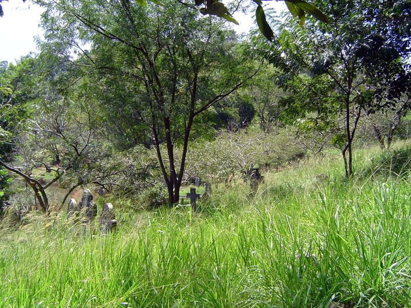 More than bucolic: it's pastoral in parts, which means you have to watch for snakes.