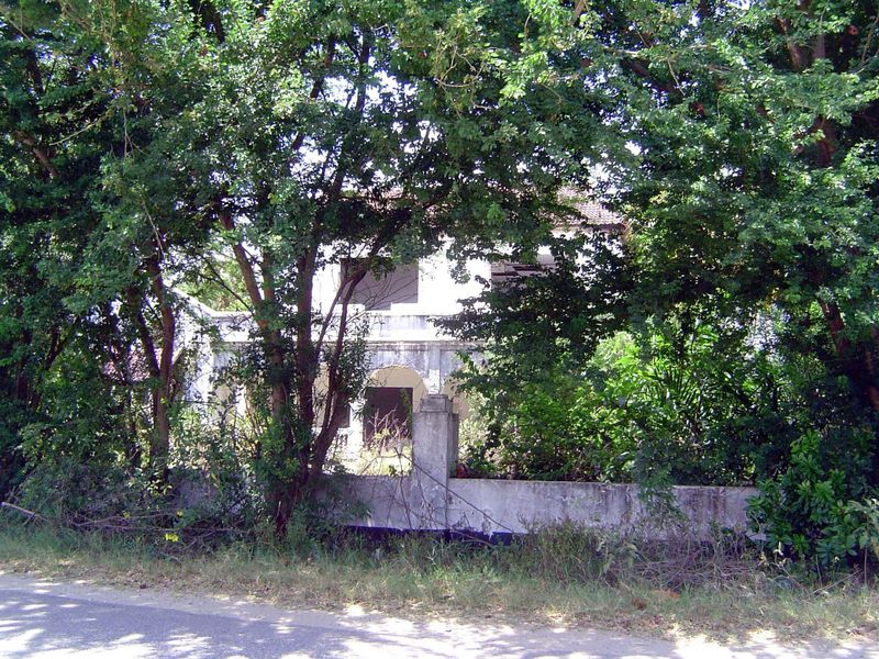 Some of the houses out here are derelict.