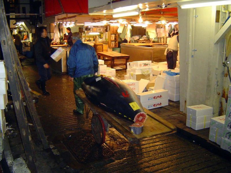 Over 2,000 tons of seafood comes through the market every day. Most is boxed, but some, like this tuna, isn't.