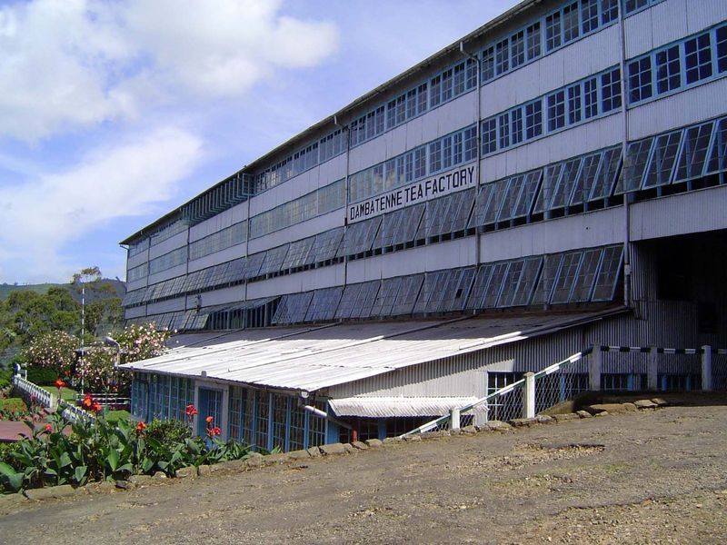 The factory is in a style developed by the Ceylon Commercial Company: sheet-metal roof and siding, steel frame, pine floors.