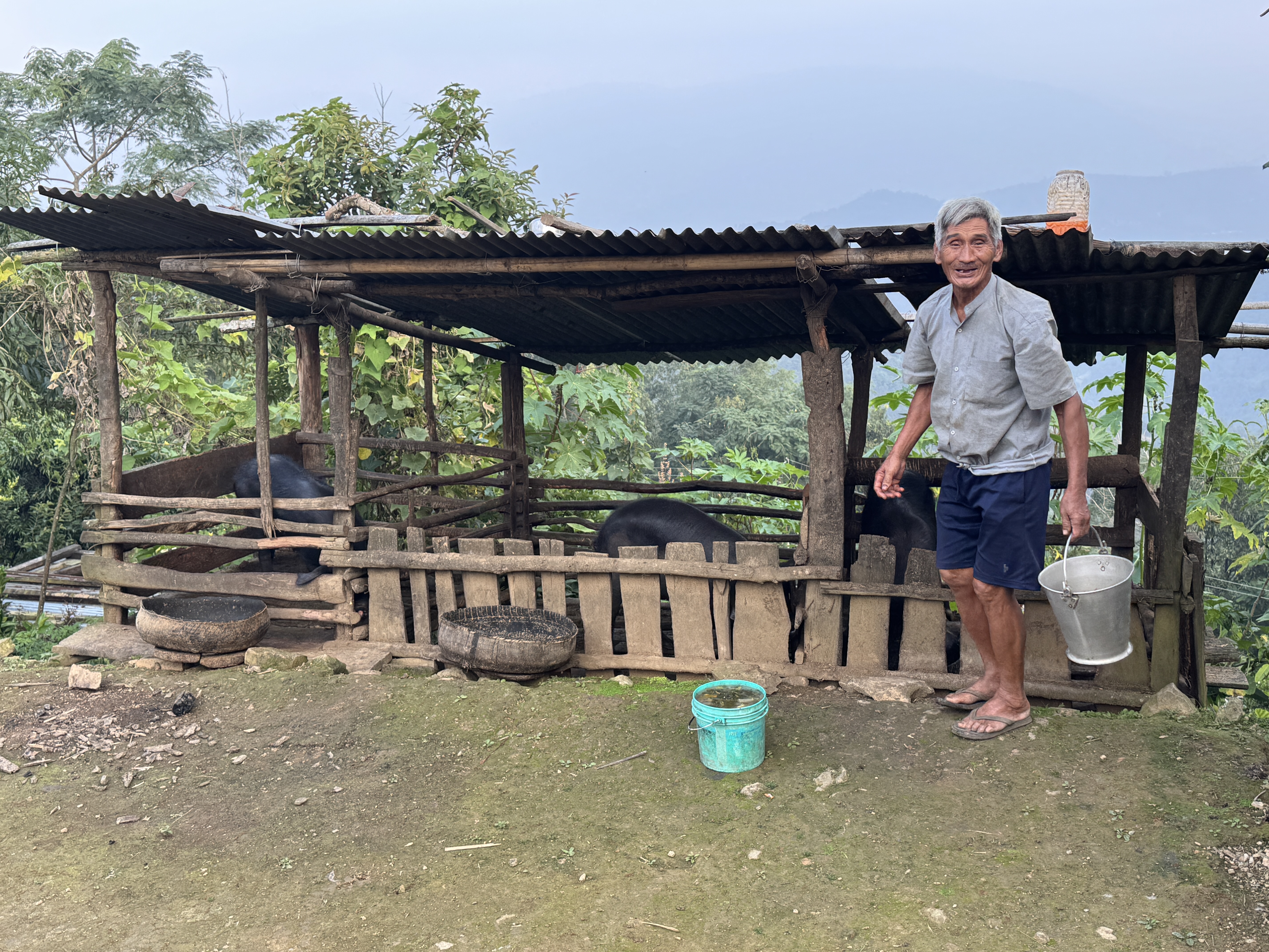 One man chops wood for the coming winter; another feeds his three pigs.