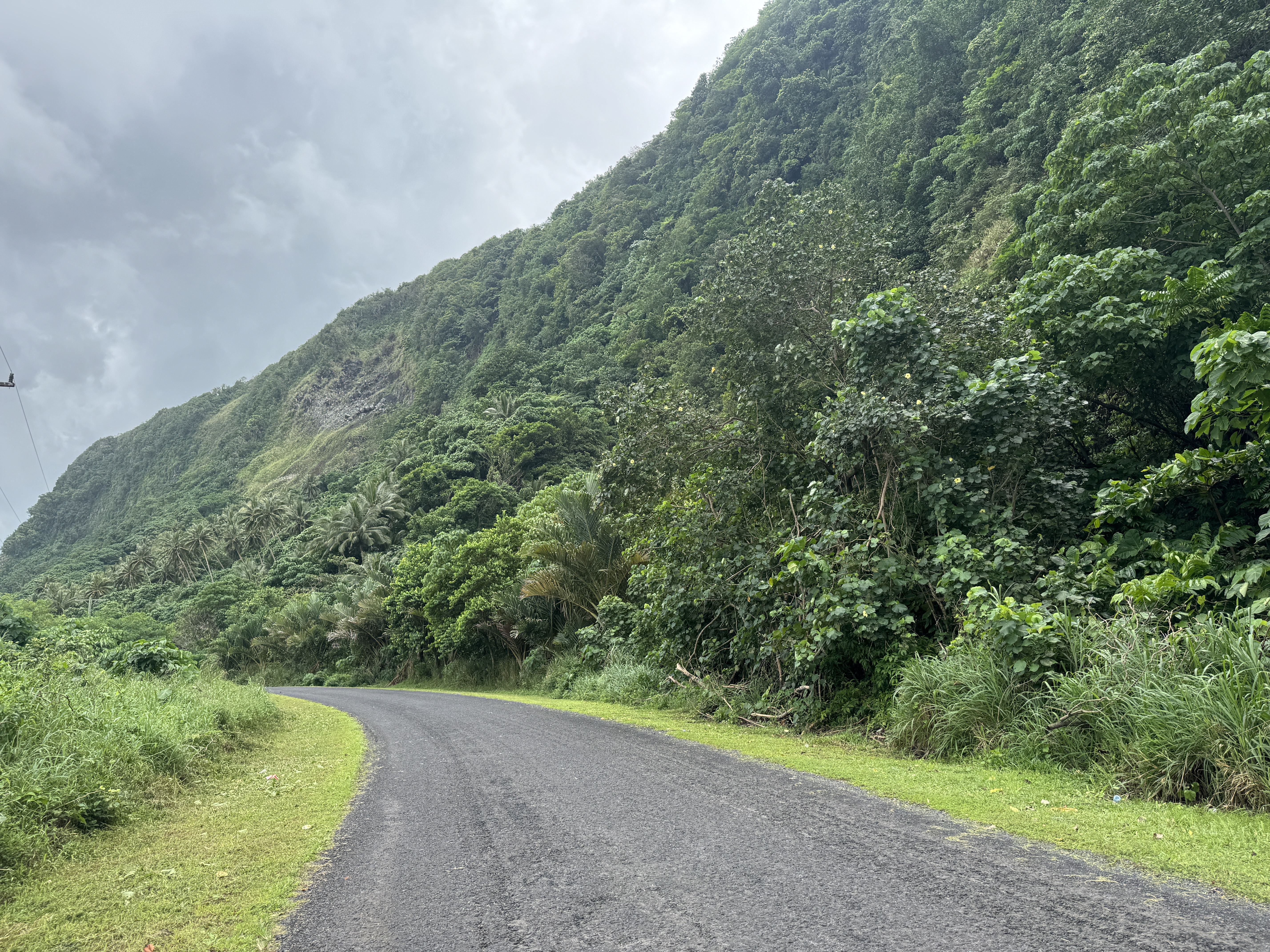 Never know what's around the bend, in this case along the South Coast Road.