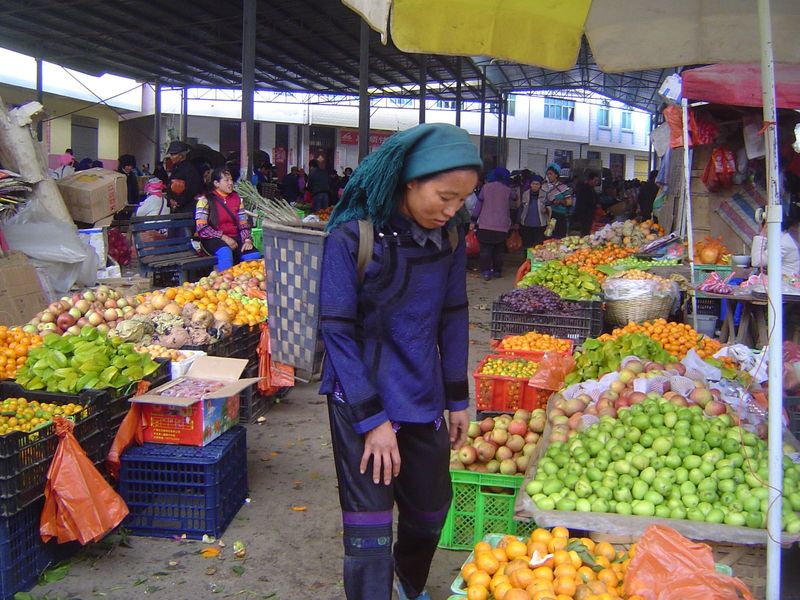 Lots of citrus, not to mention star fruit.