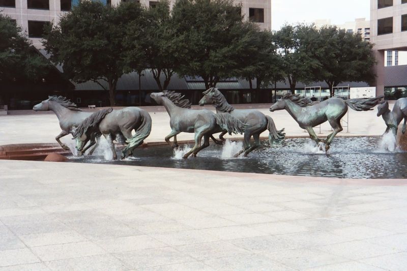 The ranch survives only in the Mustangs of Las Colinas, commissioned from Robert Glen in 1976 by Ben Carpenter, who was the ranch owner. His