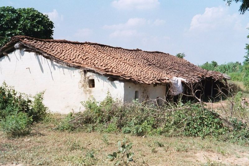Housing is typically of mud or brick, with tile roofs.