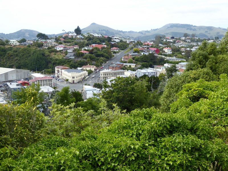 Grey Street is the long one here. The pie-slice building is the old Municipal Chambers, now the town library. Behind it is the Port Chalmers