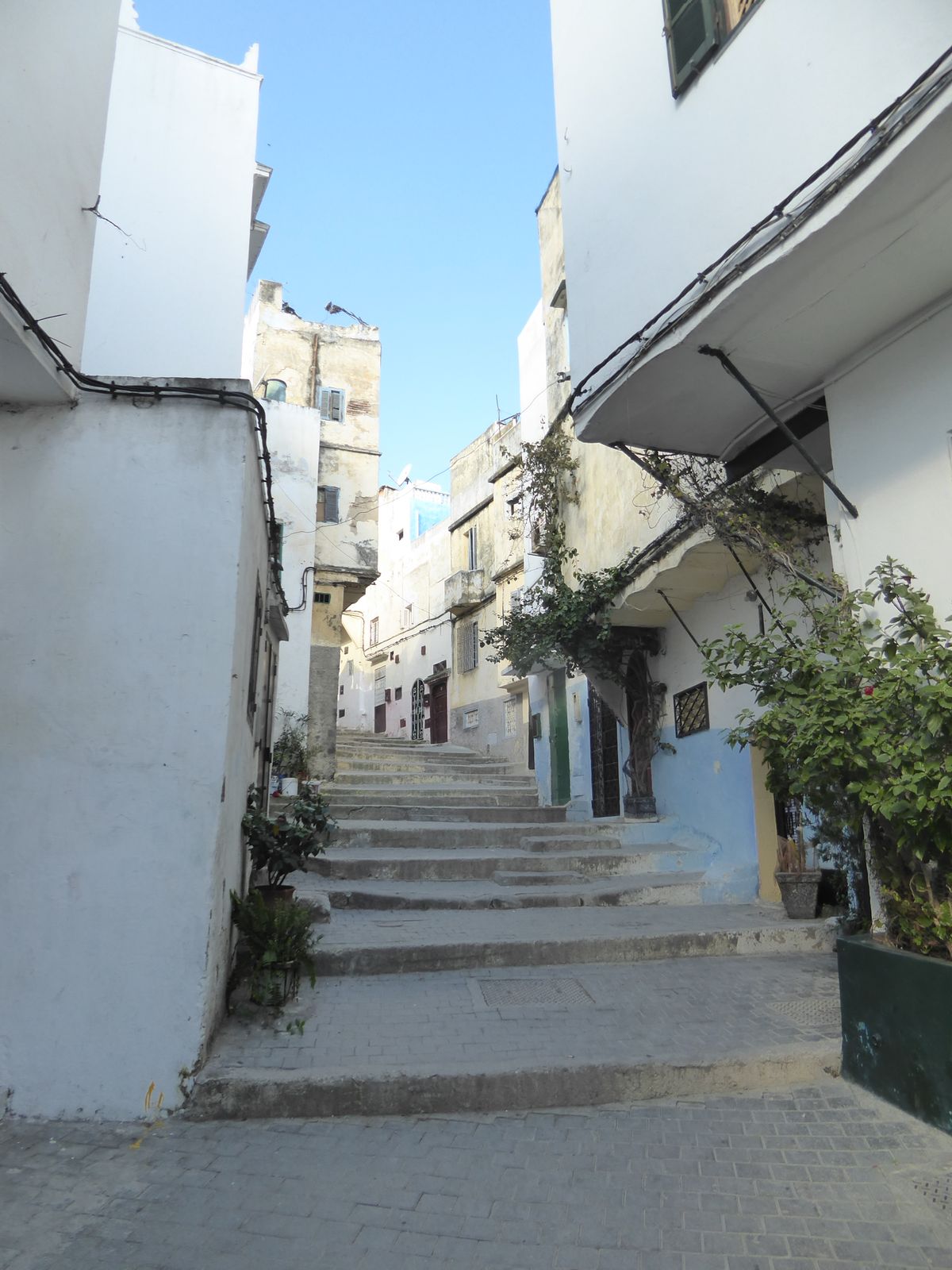 Shall we walk up the cardo?