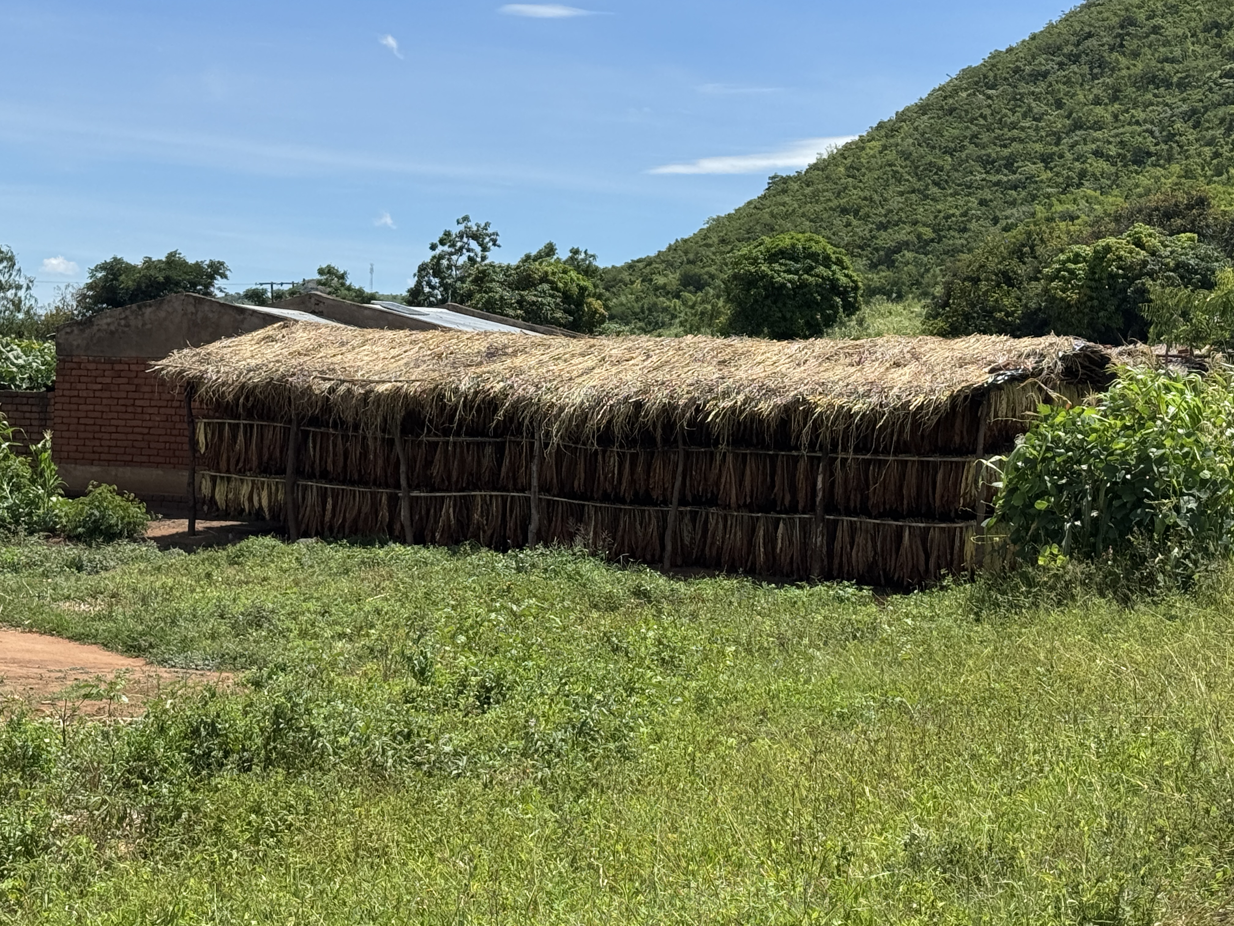 A purpose-built tobacco barn.