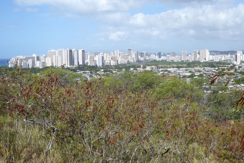 We've just climbed up the western slope of Diamond Head, a nearly circular tuff cone about 400 feet high, and we're looking toward the highr
